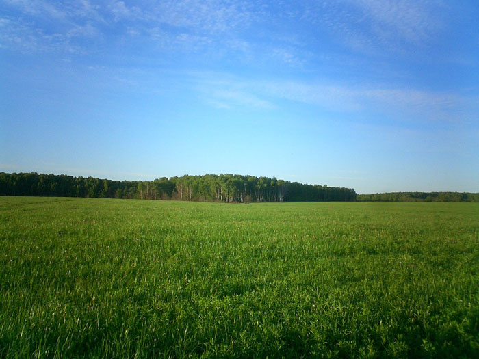 к. Северное, Ленинградская область